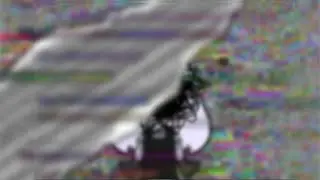 Questions for Lilac.mov | LIELAC INTERVIEWS |