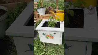 Как сделать кашпо своими руками 🙌 #garden #diy #woodworking #декор #home#дача #корзинаплетёная#сад