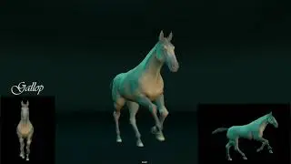 Horse Gaits (walk,trot,gallop) Animation