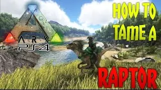 ARK: Survival Evolved - How To Tame A Raptor! [Easy Guide]