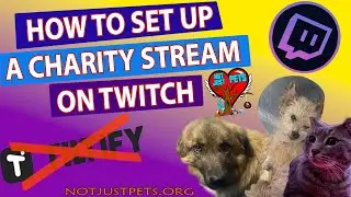 How To Set Up A Charity Stream On Twitch 