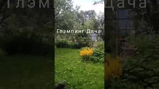 Много зелени и цветов. Много приятной тени! #отдыхвподмосковье #глэмпинг #минидом #палатки