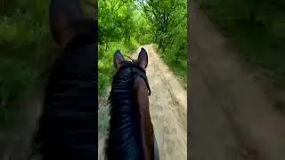 Малыш 6 3😁 #horse #rek #love #automobile #music