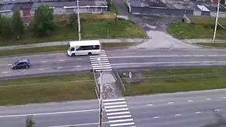 Перебежал дорогу