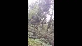 La nature, ressource thérapeutique