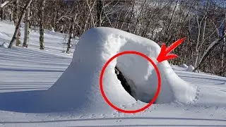Something stirred in the snowdrift! The dumbfounded people did not expect to dig up THIS!