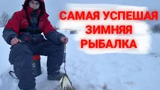 Наконец-то начал ловить бель. Остался доволен рыбалкой / ловля плотвы зимой на мормышку.