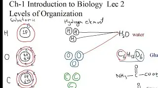 Grade 9 Biology Ch-1 lec 2 Levels of Organization- Ch Introduction to Biology