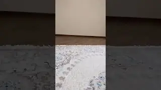 хахвхахавх #meme#