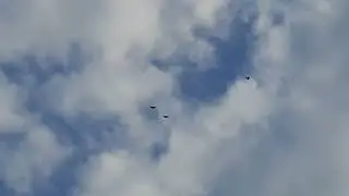 Утро голуби 07 05 2024 г
