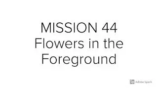 Weekly Photo Mission Lesson #44 Flowers in the Foreground