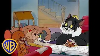 Tom y Jerry en Latino | Hogareños 🏠❤️ |  