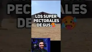 Memes Random: Gus boobs