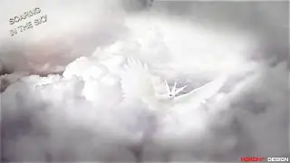 Soaring in the sky | Коллаж | SpeedArt