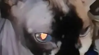 Клубничка бомба 