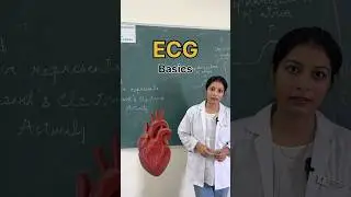 ECG basics 🫀 