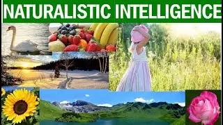 NATURALISTIC  INTELLIGENCE