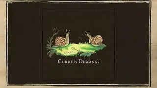 Shire Oak - Curious Diggings (2023)