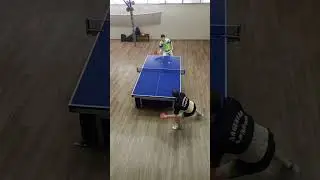 👍😳🏓 #pingpongtable #sportsequipment #tabletennisball #sportsgear #tabletennis