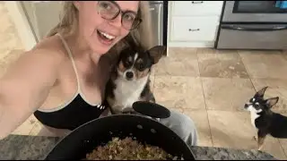 How to Make Homemade Dog Food | Healthy Recipe and Save Money