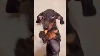 Вот смотрю на тебя 