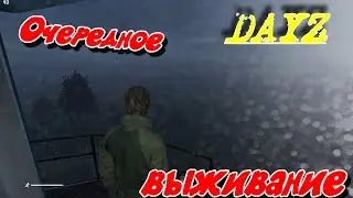 DaYz...