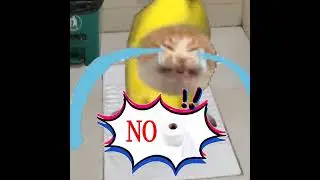 BANANA CAT 🍌🐱 SHOPPING 🛒 AND POOPING BUT NO PAPER 