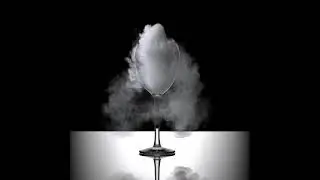 3ds  Max Realtime Fire and Smoke: finalFluid