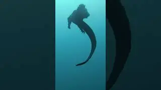 The stuff of nightmares 🦎 #hoistthecolours #thenorthsea #northsea #hoistthecolors