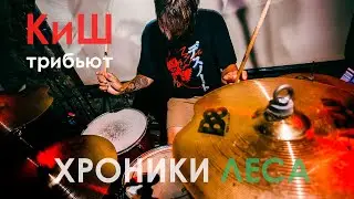 Хроники леса - Мёртвый анархист (КиШ трибьют)