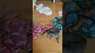 нет, ещё и третий