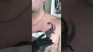 Тату скорпиона Тату-студия “Tarantultattoo” г. Королёв  +79295912373  https://vk.com/tattoodmitry