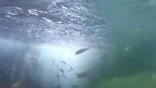Подводный мир. Водопад 