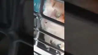 usuário