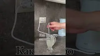 26 июля 2024 г.