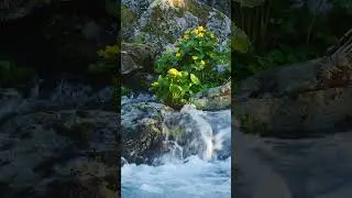 Туралыгский водопад