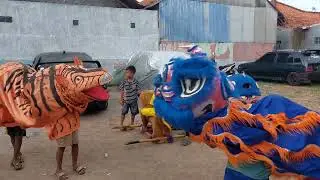 Burok putra kuningan kostum #burok