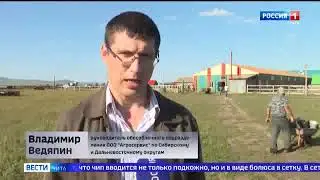 Регистрация животных в Забайкалье