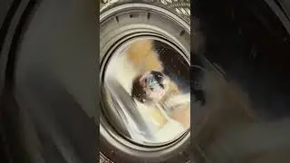 I put my phone in the washing machine 💀