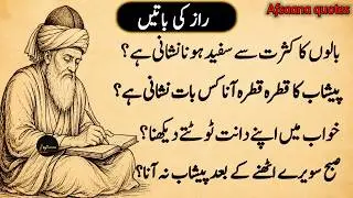 Rumi quotes Urdu | Hikmat ki batain | Urdu quotes heart touching | best life-changing quotes