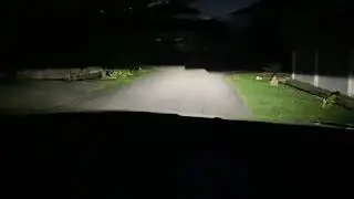 Proton X50 Headlamp leveling