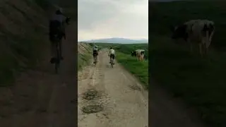 Красногорск, Парлисай #cycling