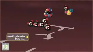 دورة كربس