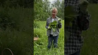 Сок лопуха и травяные таблетки Фитокост для сильных суставных болей 🌿 все травы на jivia.ru