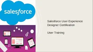 Salesforce User Experience Designer Certification User Training