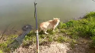 Вот эта Рыбалка я Понимаю