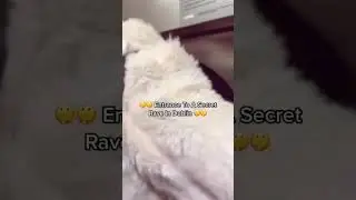 #shorts
