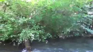 IMG 6594