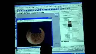 Introduction to Maya Fur: beginner level