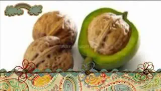 ► Xotirani yaxshilashga doir xalqona tavsiyalar ♦♦ Хотирани яхшилашга доир халқона тавсиялар ◄
